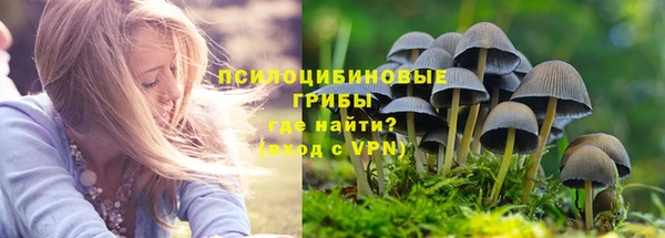 каннабис Баксан