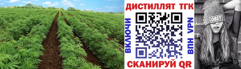 Дистиллят ТГК THC oil  Лебедянь 