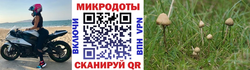 Галлюциногенные грибы прущие грибы  Лебедянь 